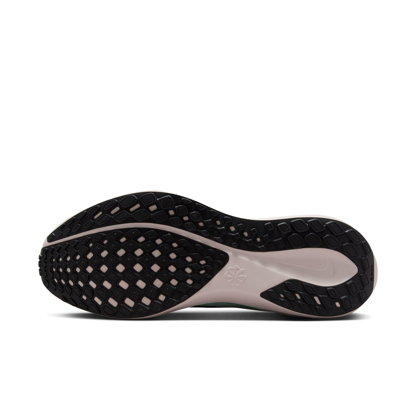 Pegasus 41 - Men's