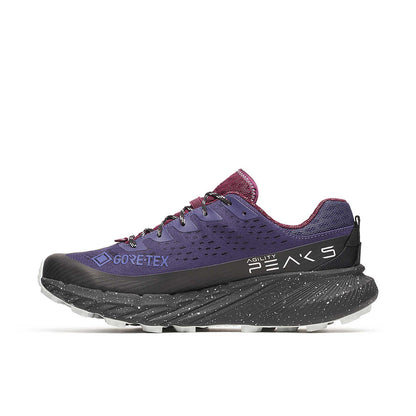 Agility Peak 5 GTX - Men's